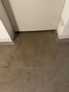 7_kellerboden_wasserschaden_oldenburg_maler-tappe.de_wardenburg_IMG_8636